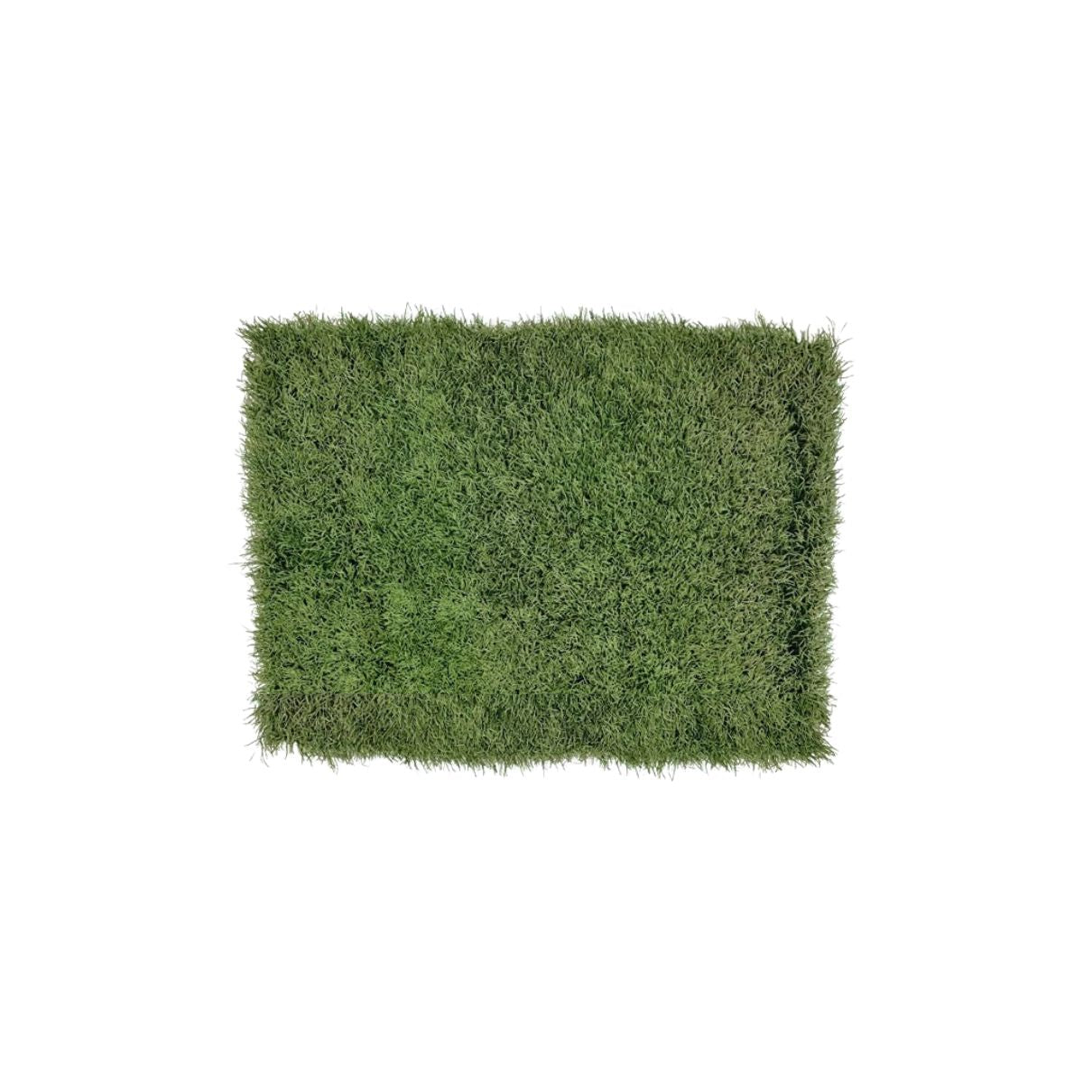 Buffalo Bills Highmark Stadium Authentic 18x30 Turf Doormat (Pre-Order)