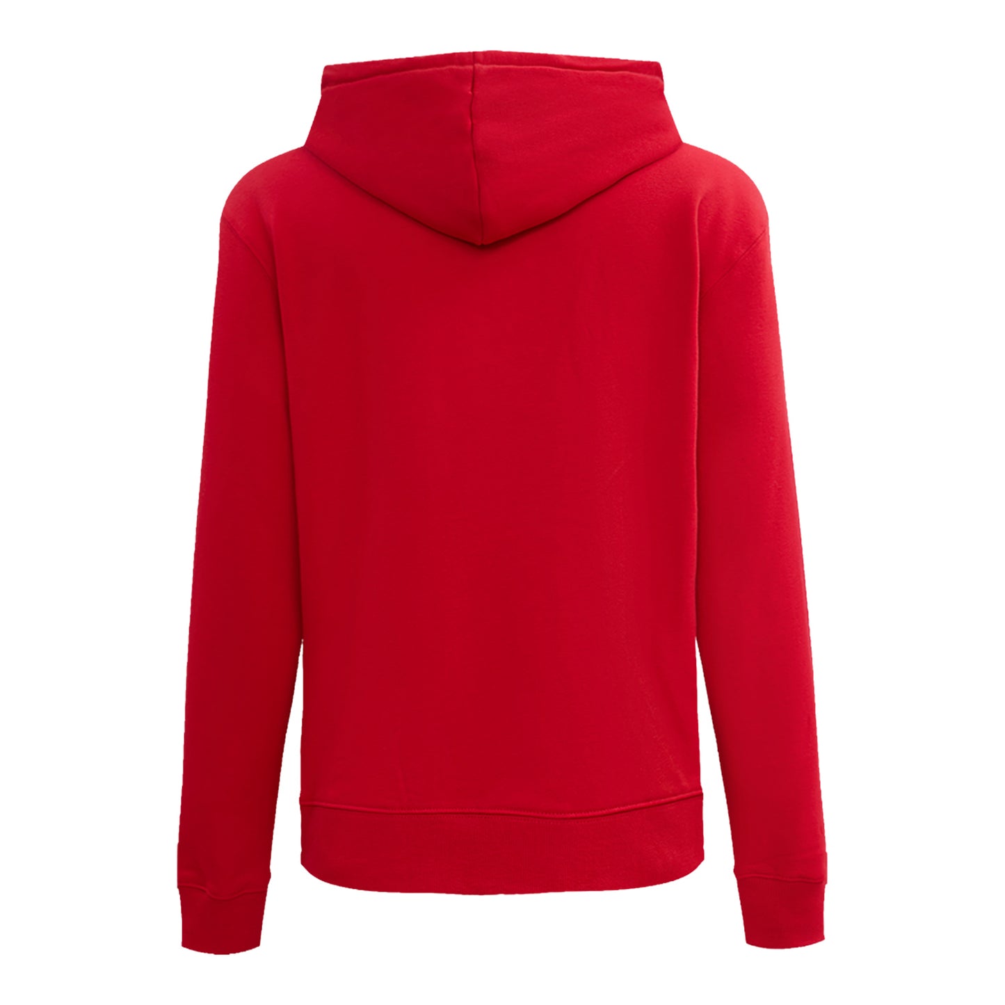 Ladies Buffalo Bills Pro Standard Classic Icon Hooded Sweatshirt In Red - Back View