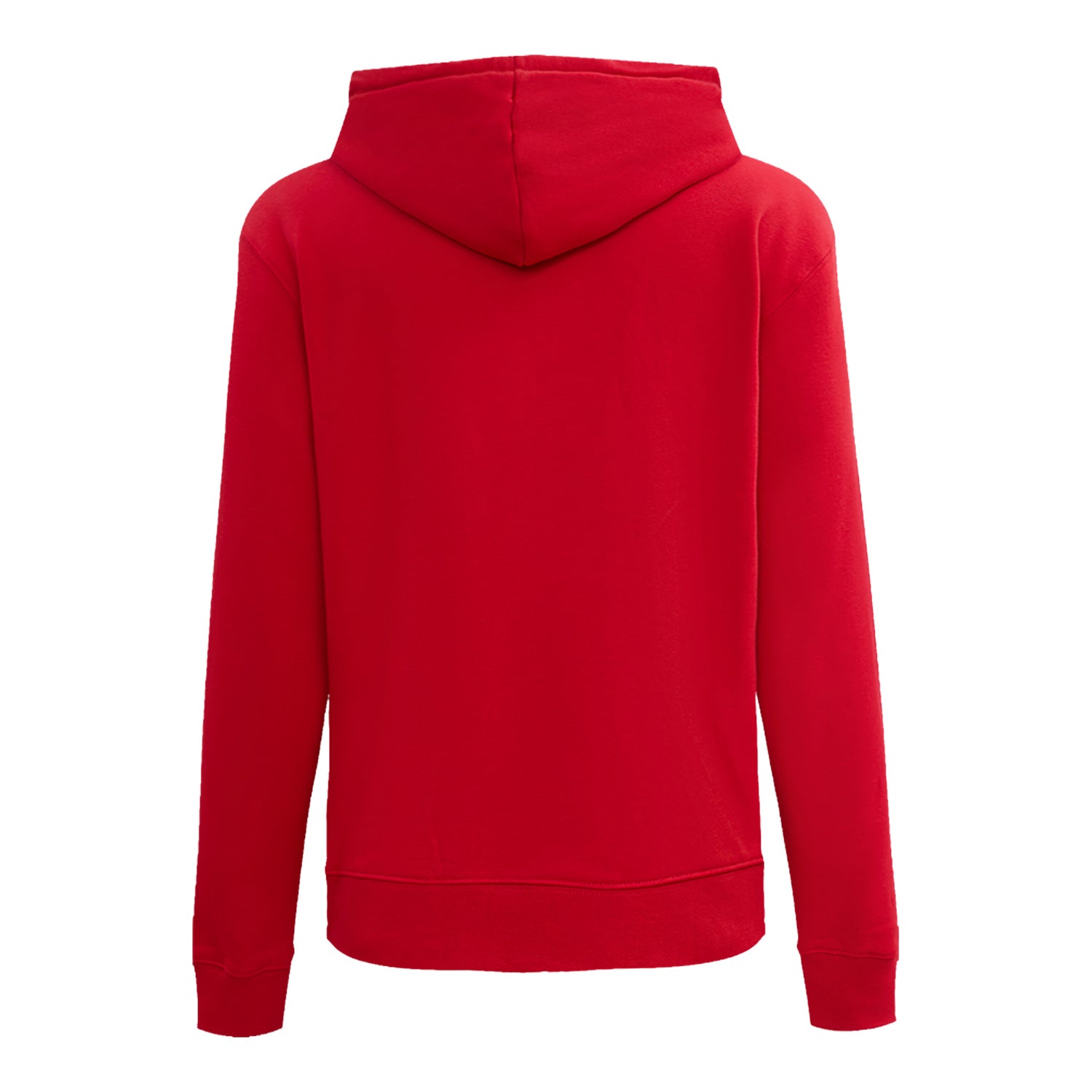 Ladies Buffalo Bills Pro Standard Classic Icon Hooded Sweatshirt In Red - Back View