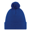 New Era Buffalo Bills 2023 AFC East Division Champions Knit Hat In Blue - Back View