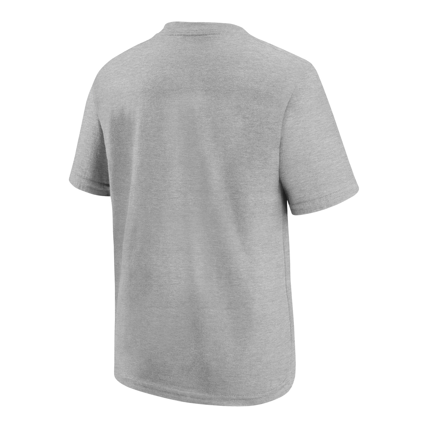 Buffalo Bills Nike Groove Essential Cotton T-Shirt In Grey - Back View