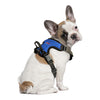 Little Earth Front Clip Pet Harness In Blue - Back View On Dog