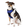 Little Earth Front Clip Pet Harness In Blue - Front View On Dog