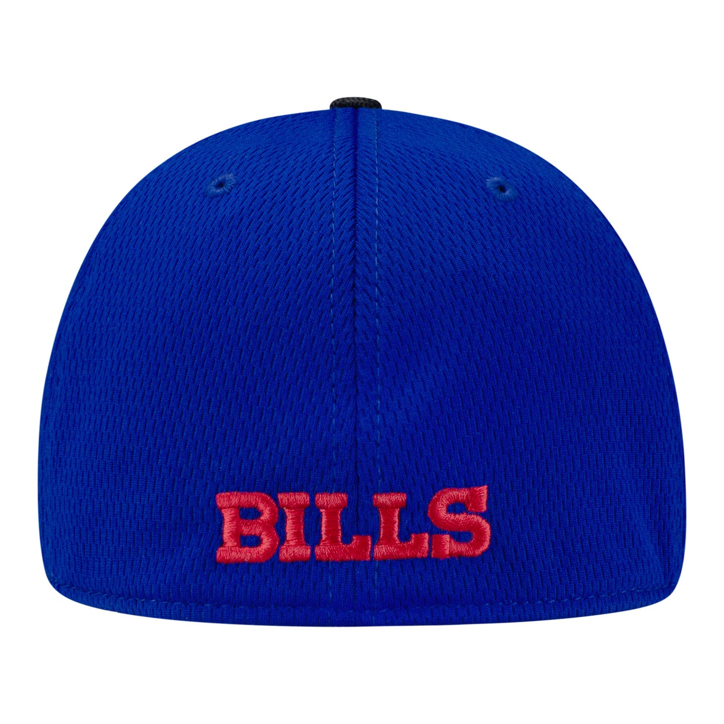 Youth New Era Buffalo Bills 39THIRTY Visor Hit Hat In Blue - Back View