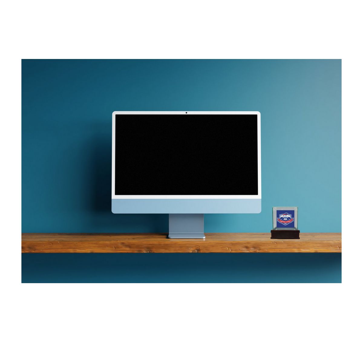 Buffalo Bills Highmark Stadium Authentic Piece of Turf w/Case (Pre-Order)